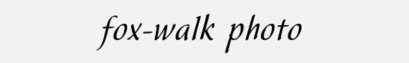 Fox-walk Photo Gallery Studio